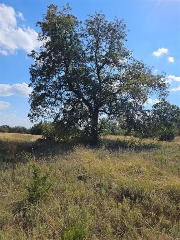 29.38 acres in Coryell County - photo 9