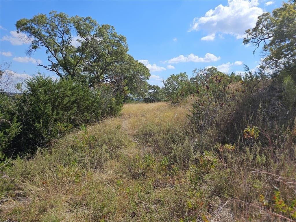 29.38 acres in Coryell County - photo 11