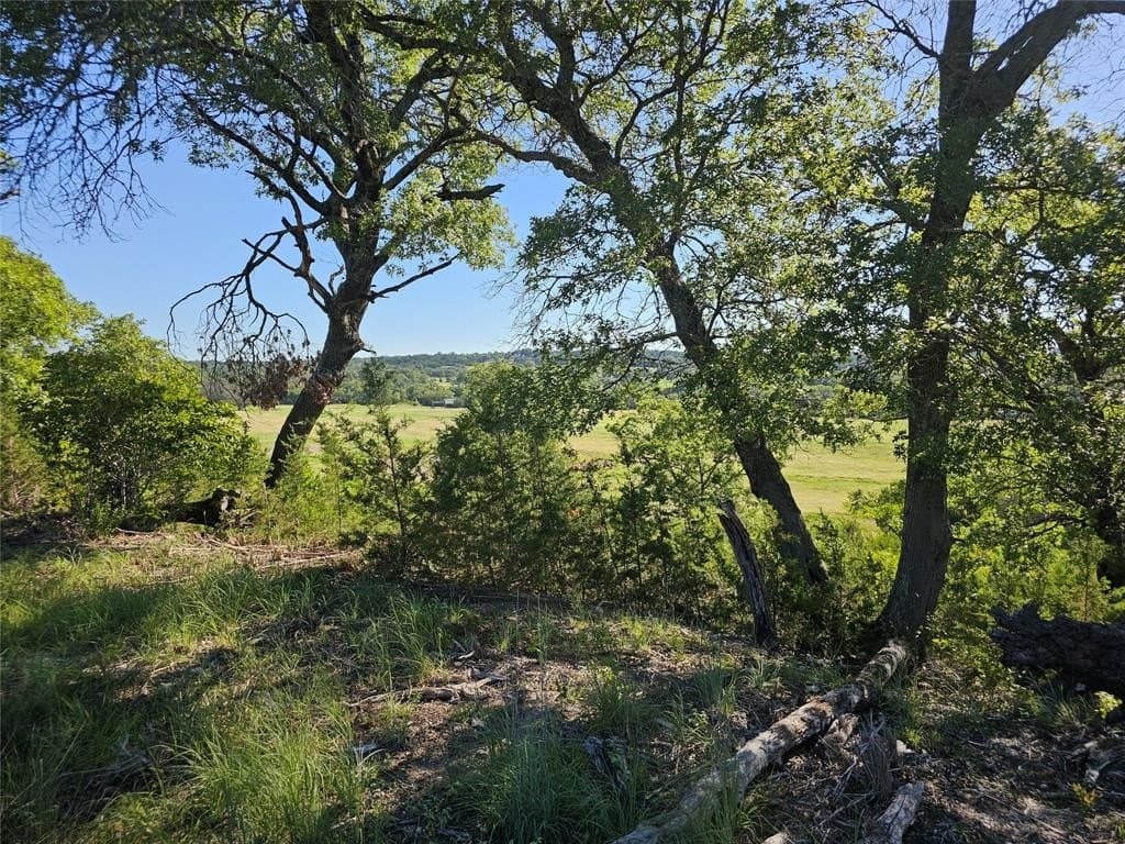 29.38 acres in Coryell County - photo 5