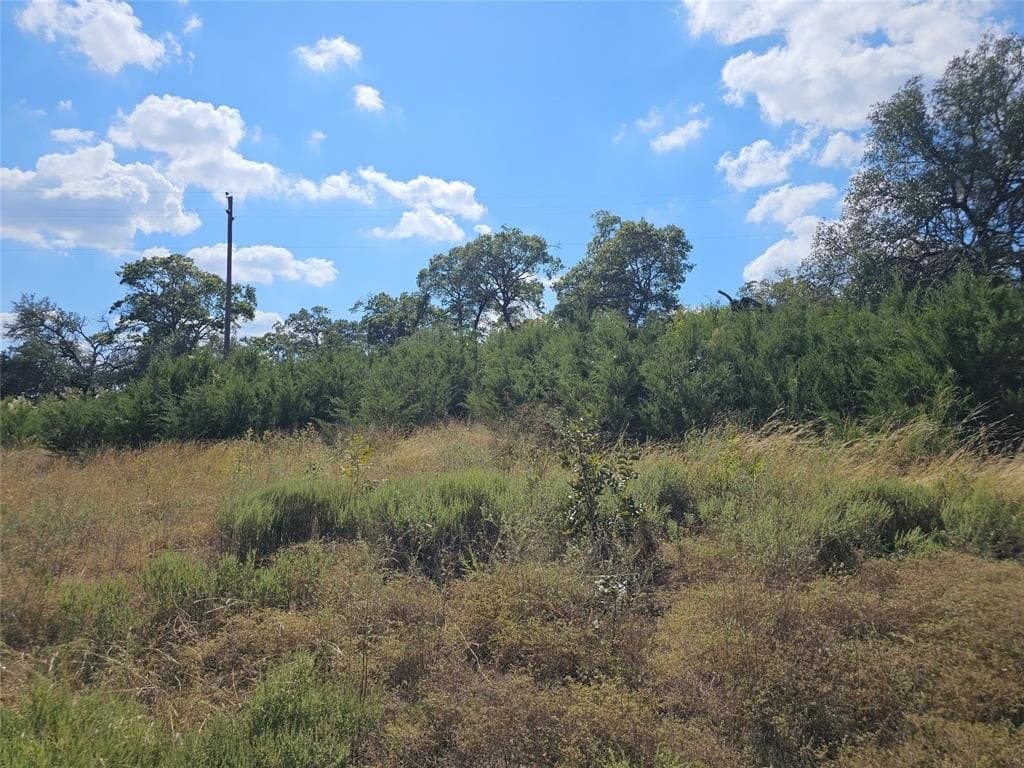 29.38 acres in Coryell County - photo 10