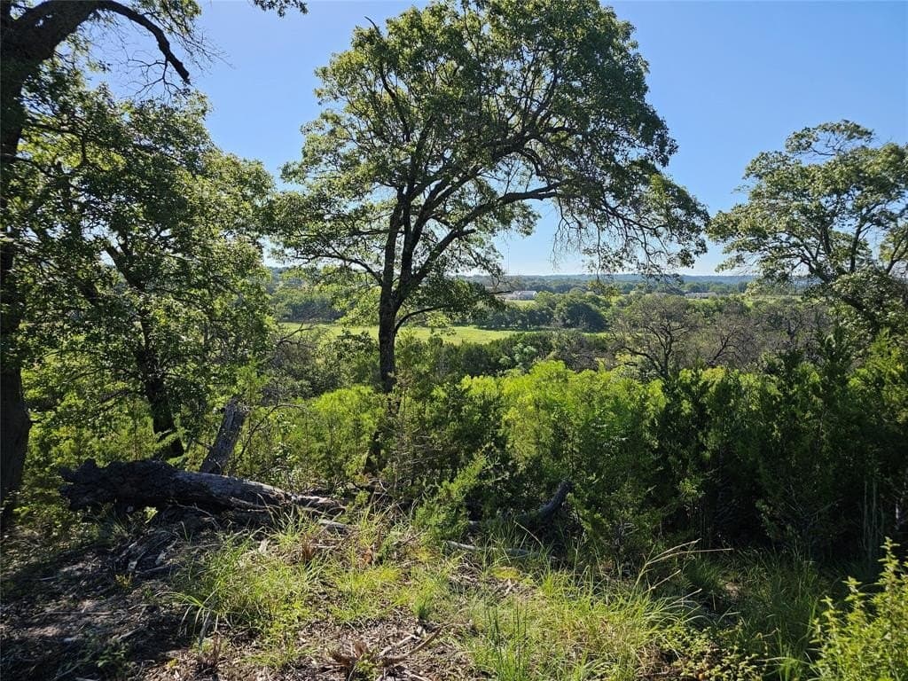 29.38 acres in Coryell County - photo 8
