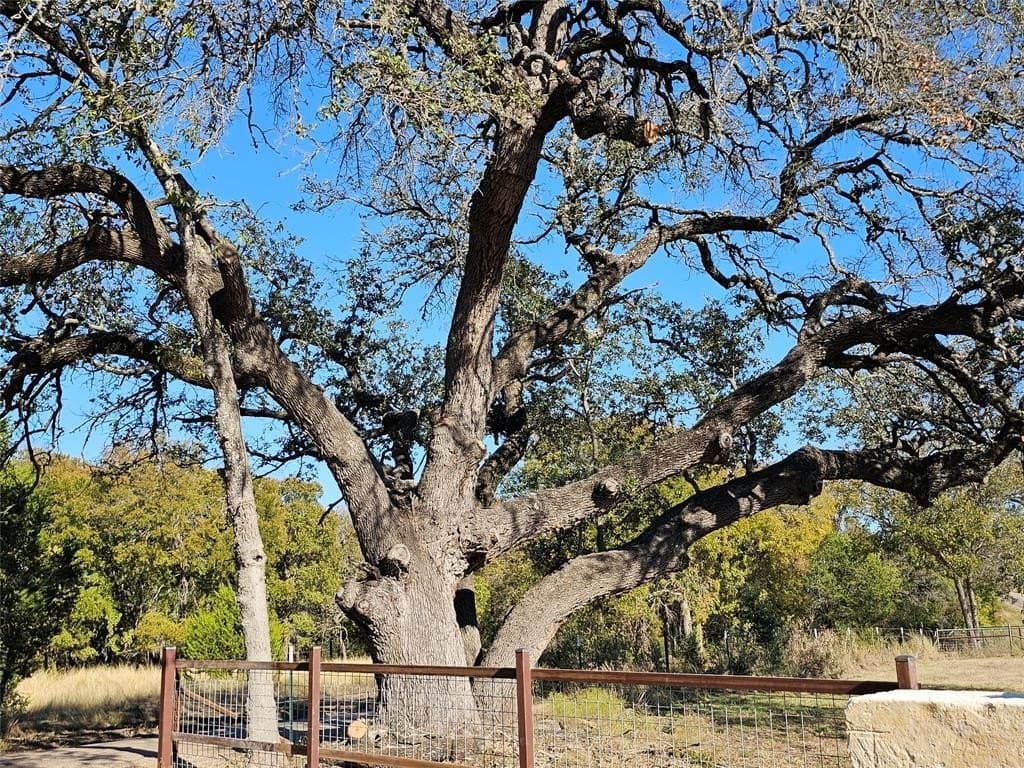 29.38 acres in Coryell County - photo 3