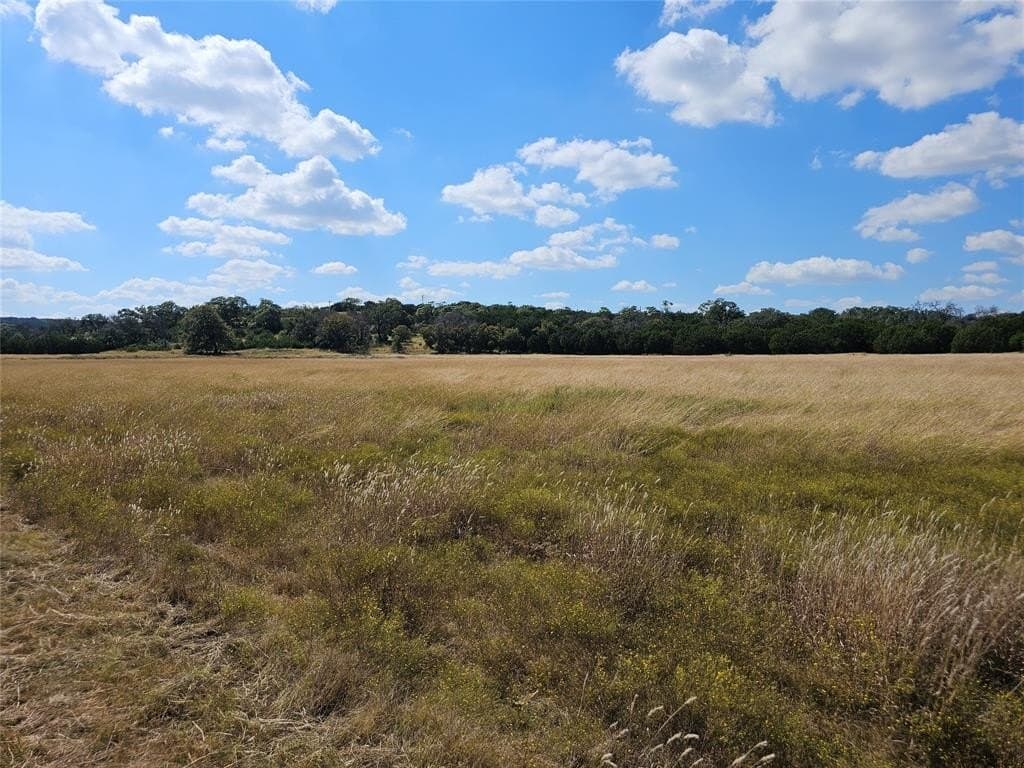 29.38 acres in Coryell County - photo 6