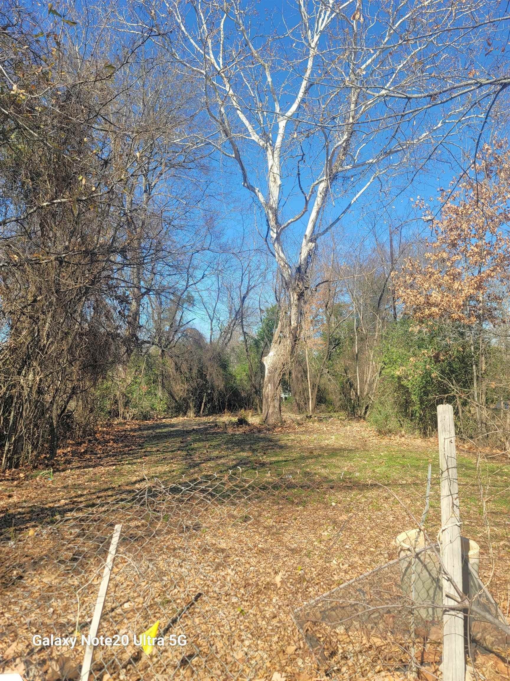 0.32 acres in Gregg County - photo 2