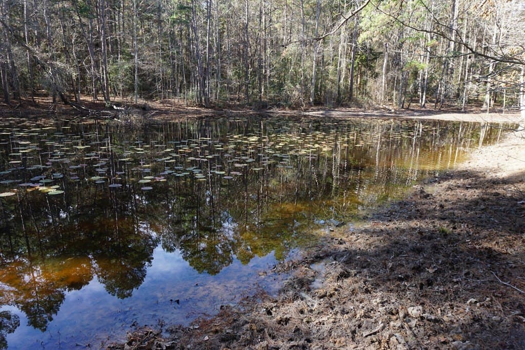 122.11 acres in ANDERSON County - photo 9
