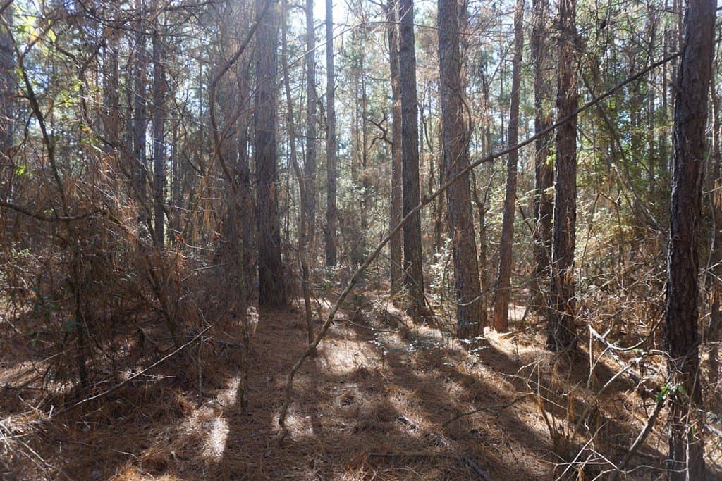 122.11 acres in ANDERSON County - photo 3
