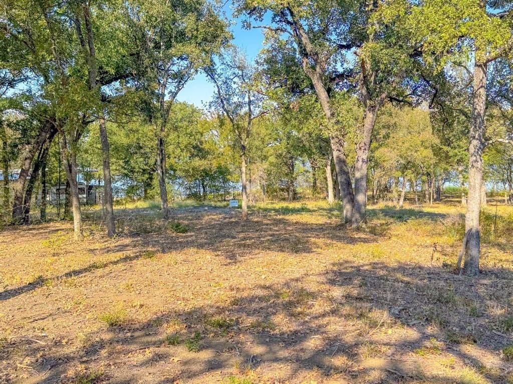 1.23 acres in Navarro County - photo 12