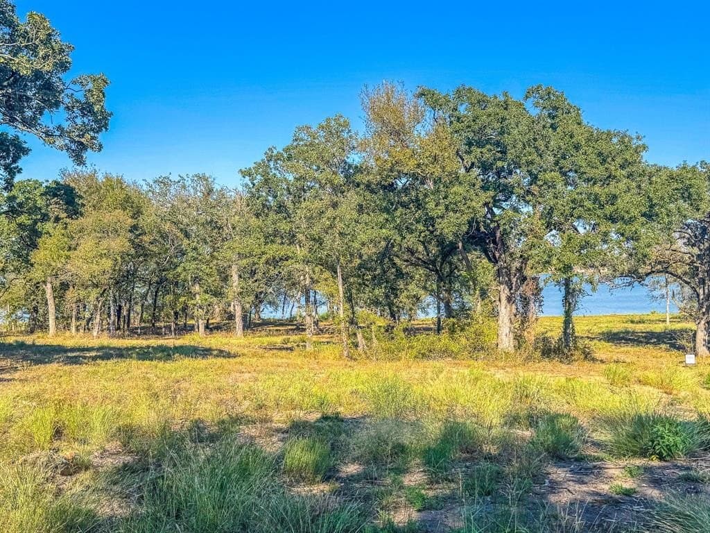 1.23 acres in Navarro County - photo 24