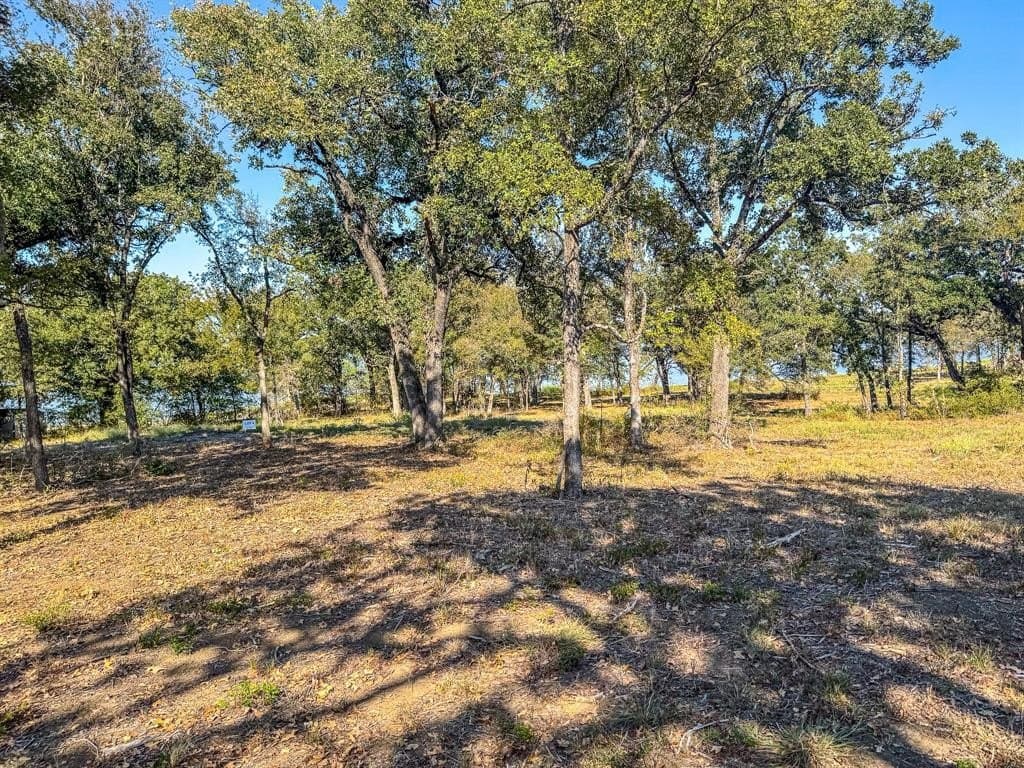 1.23 acres in Navarro County - photo 13