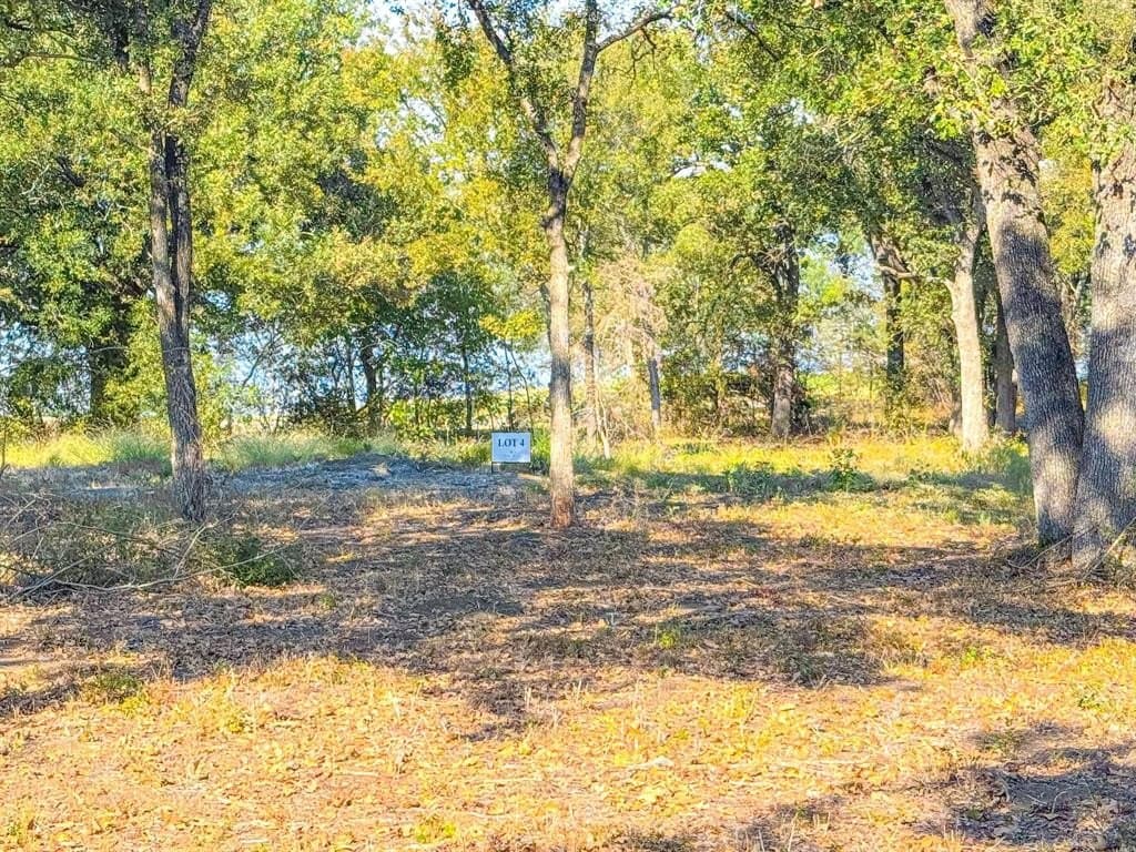 1.23 acres in Navarro County - photo 11