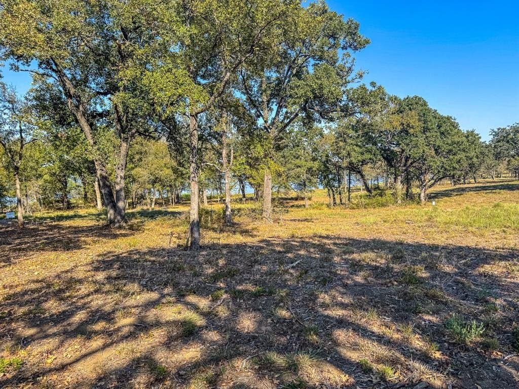 1.23 acres in Navarro County - photo 14