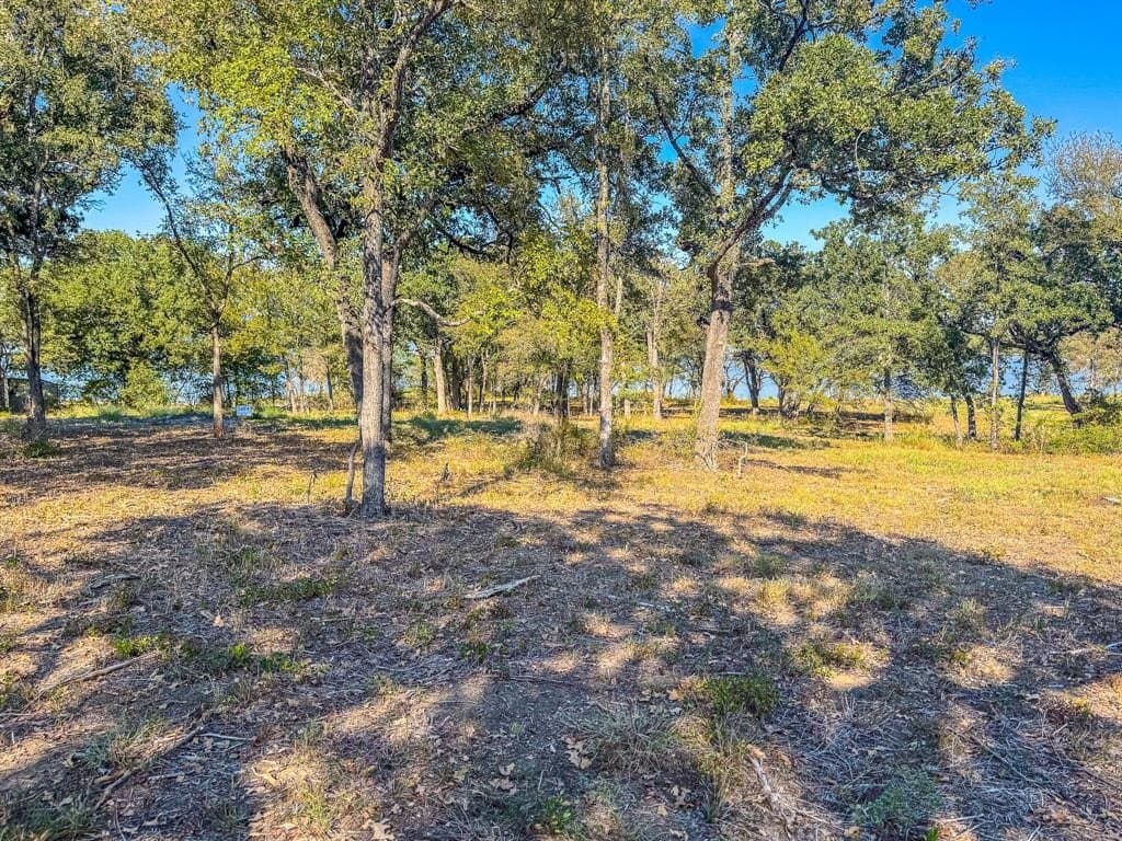 1.23 acres in Navarro County - photo 16