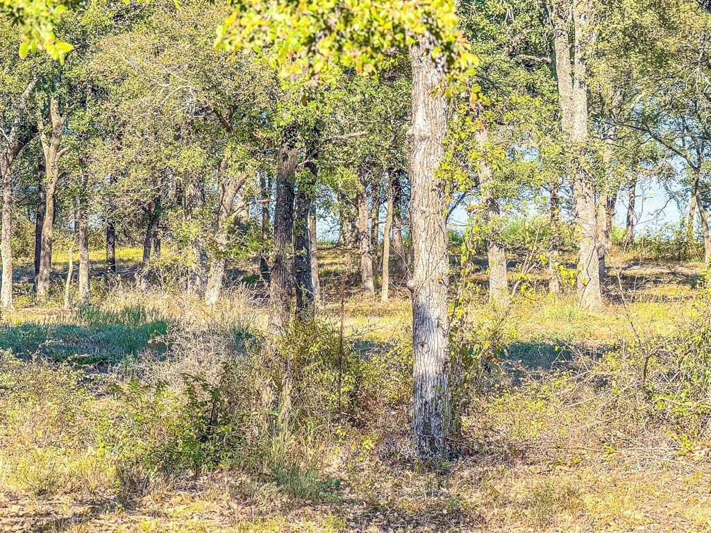 1.23 acres in Navarro County - photo 15