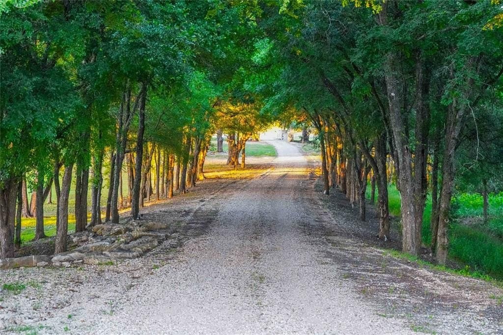 242.08 acres in McLennan County - photo 7