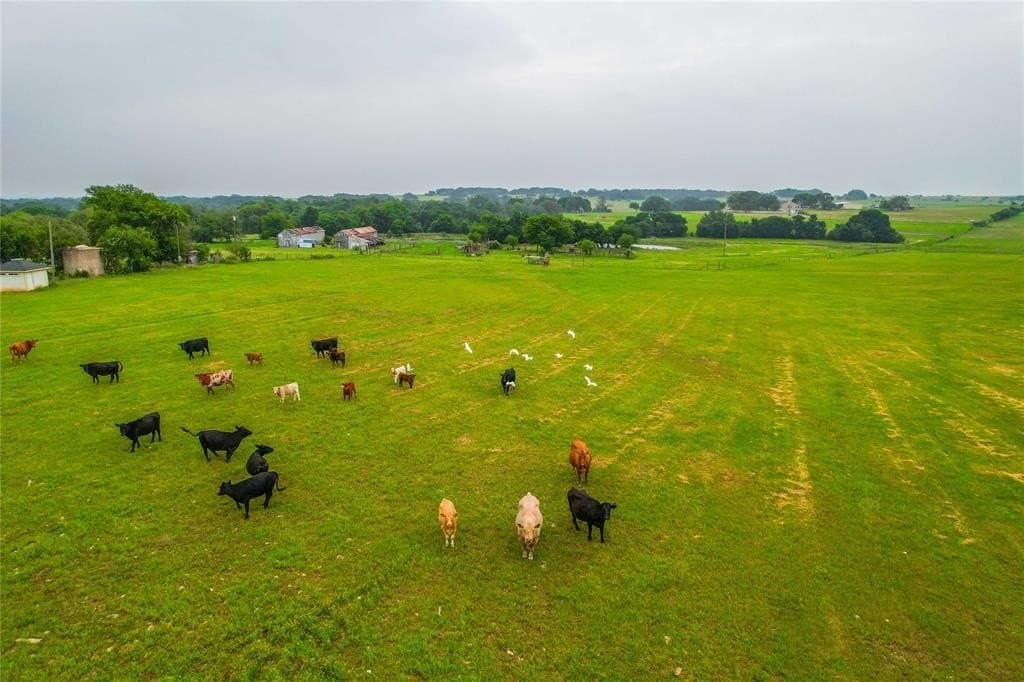242.08 acres in McLennan County - photo 40