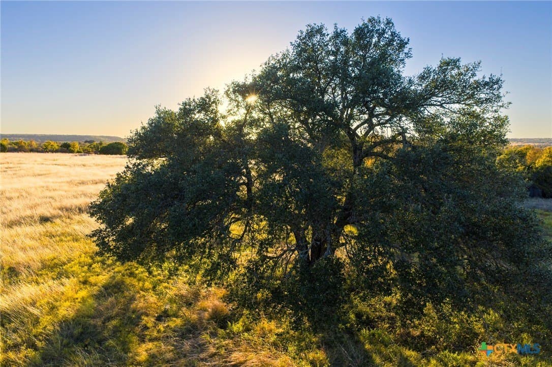 10.01 acres in Hamilton County - photo 2