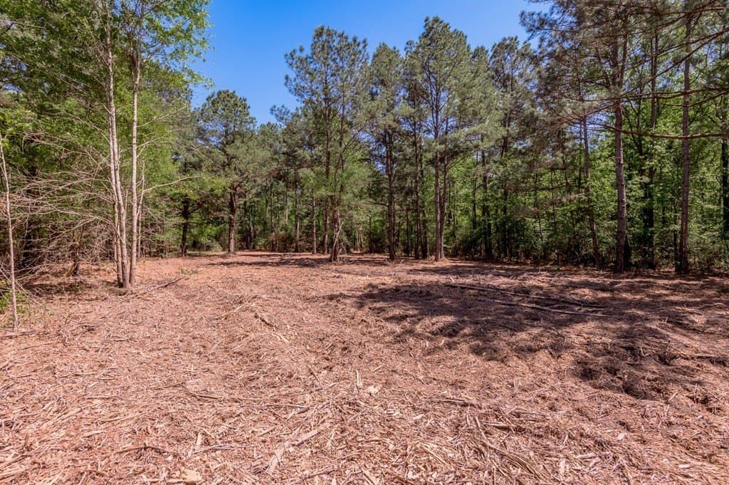 1.38 acres in HOUSTON County - photo 17