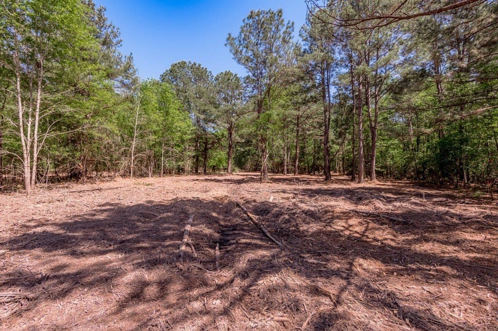 1.38 acres in HOUSTON County - photo 16