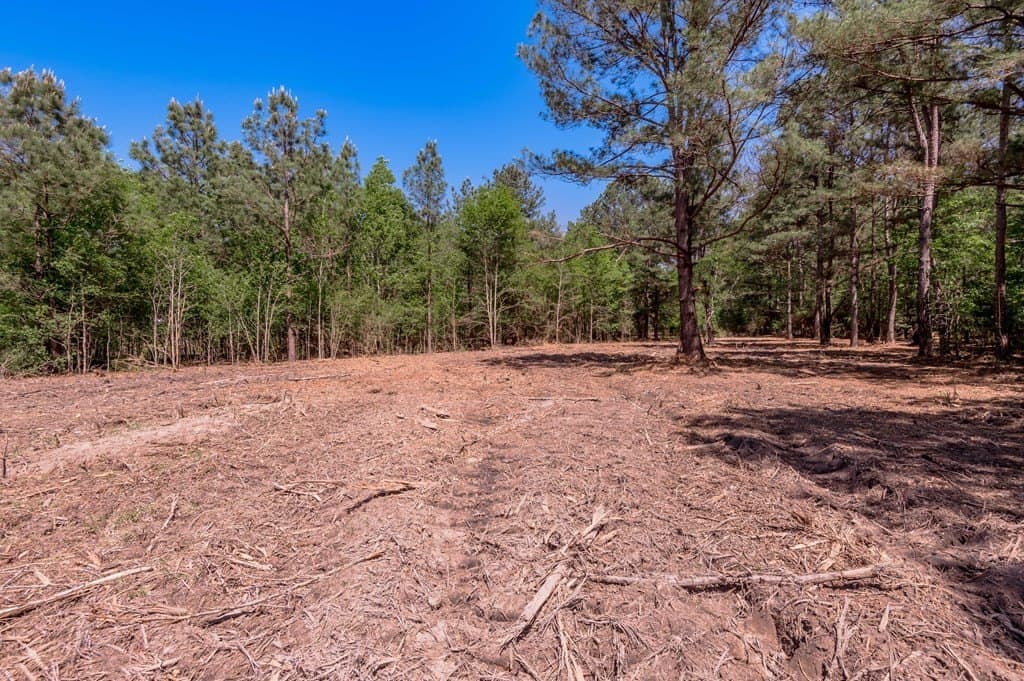 1.38 acres in HOUSTON County - photo 14