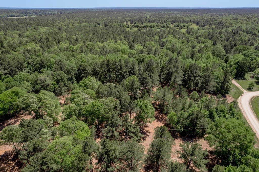 1.38 acres in HOUSTON County - photo 22