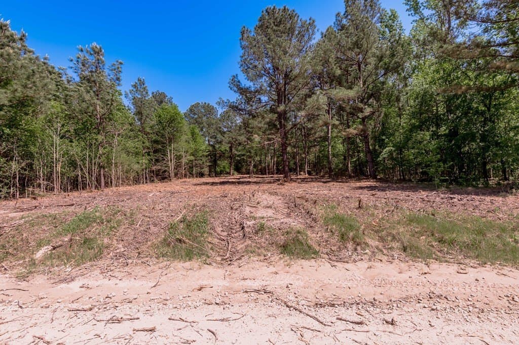 1.38 acres in HOUSTON County - photo 12