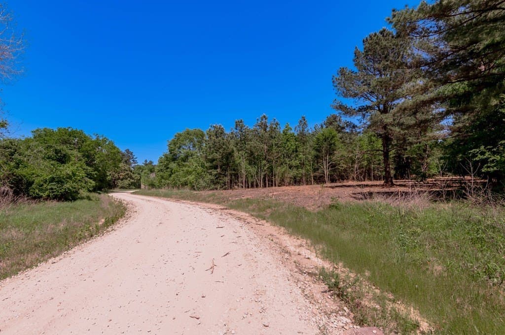1.38 acres in HOUSTON County - photo 13
