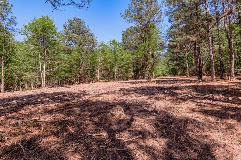 1.38 acres in HOUSTON County - photo 15