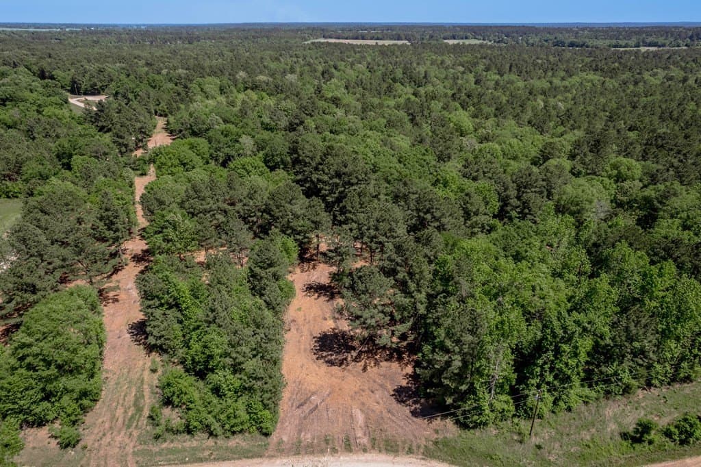 1.38 acres in HOUSTON County - photo 4