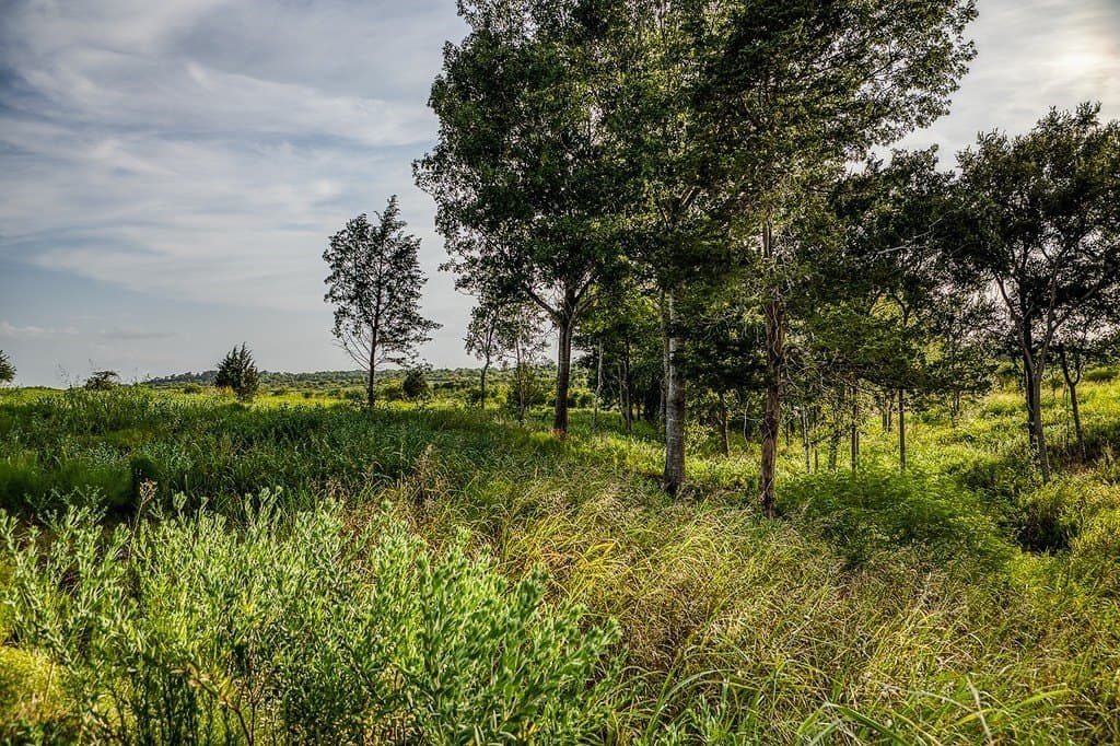 2.94 acres in Washington County - photo 11