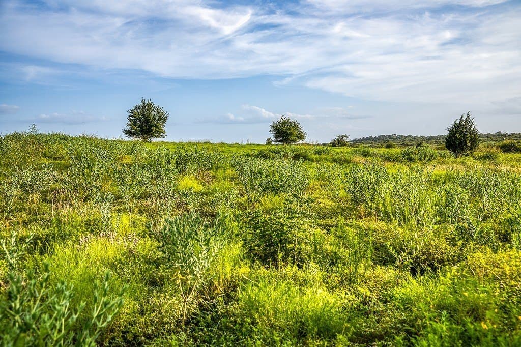 2.94 acres in Washington County - photo 9