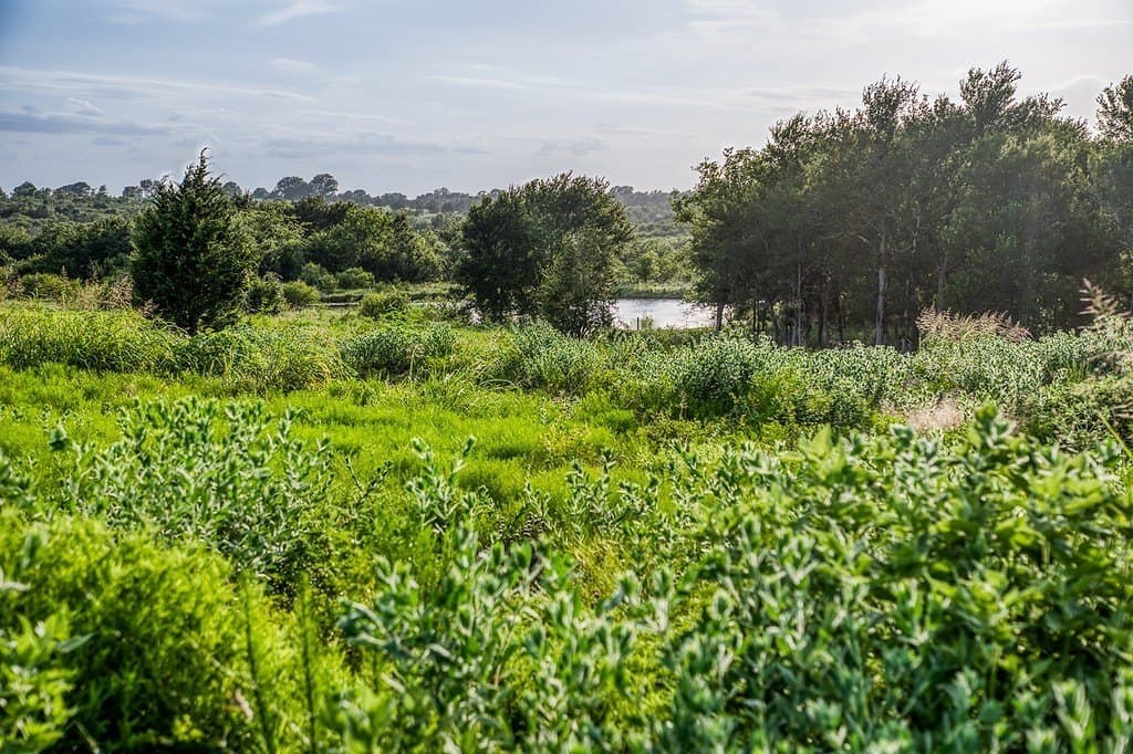 2.94 acres in Washington County - photo 8