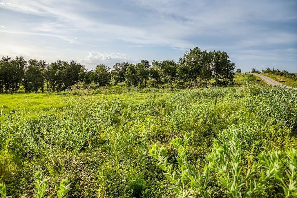 2.94 acres in Washington County - photo 6