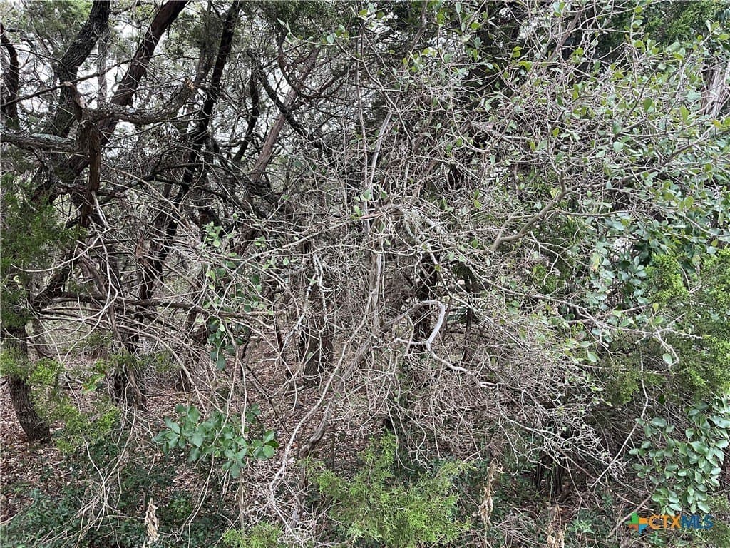 0.08 acres in Comal County - photo 2