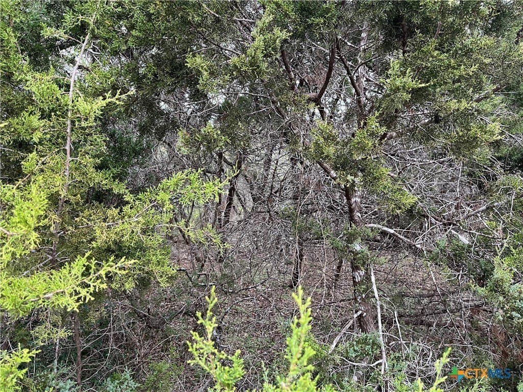0.08 acres in Comal County - photo 3