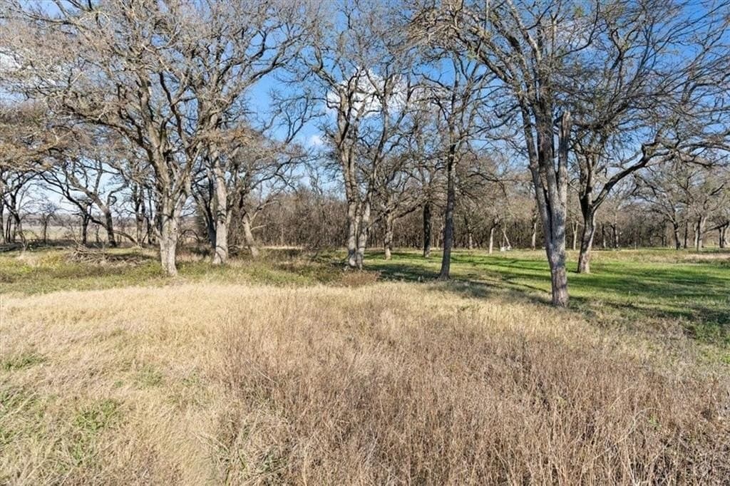 5.5 acres in McLennan County - photo 8