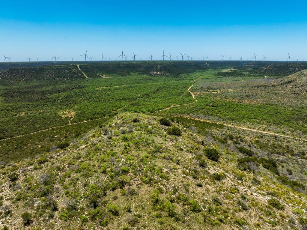 645 acres in Coke County - photo 12