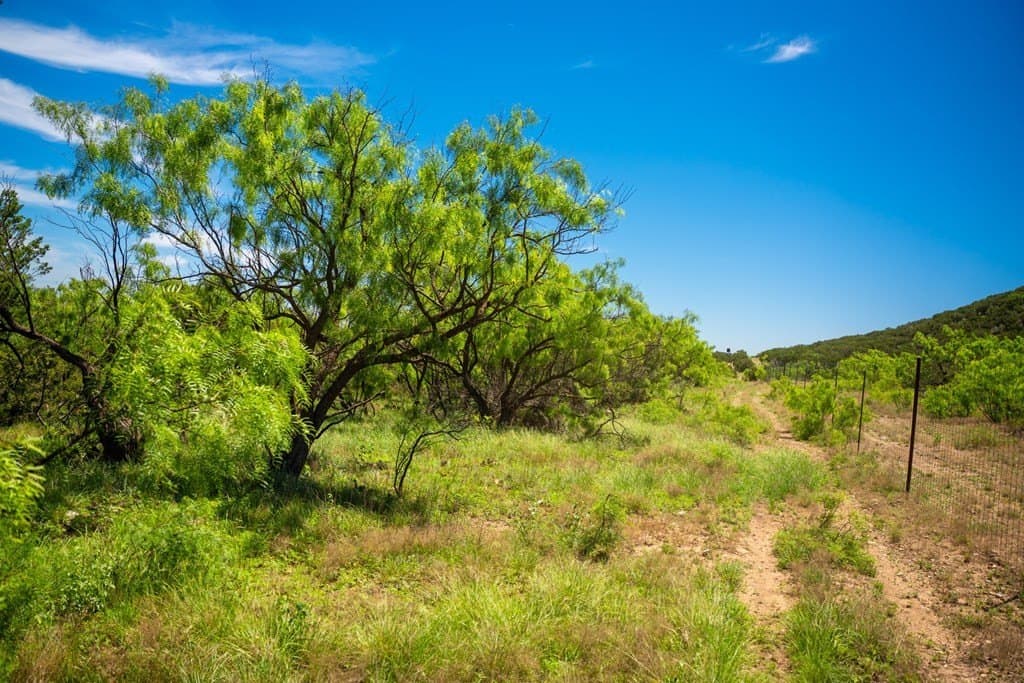 645 acres in Coke County - photo 62