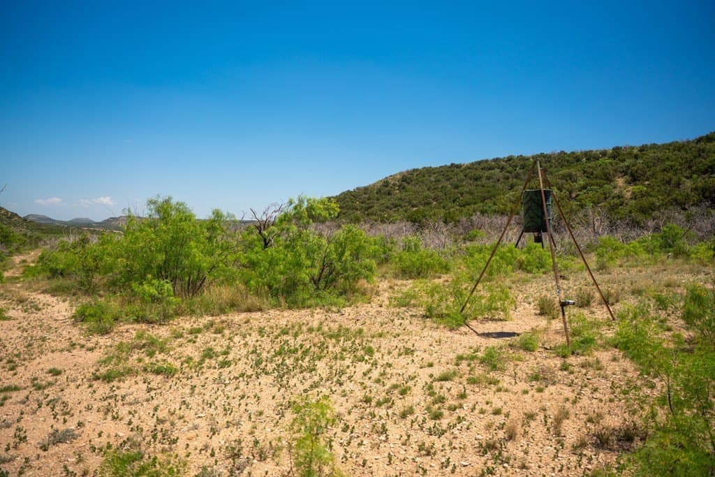 645 acres in Coke County - photo 80