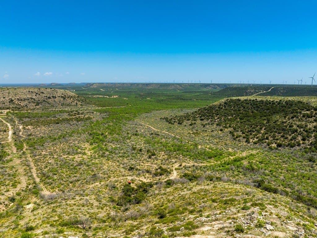 645 acres in Coke County - photo 18