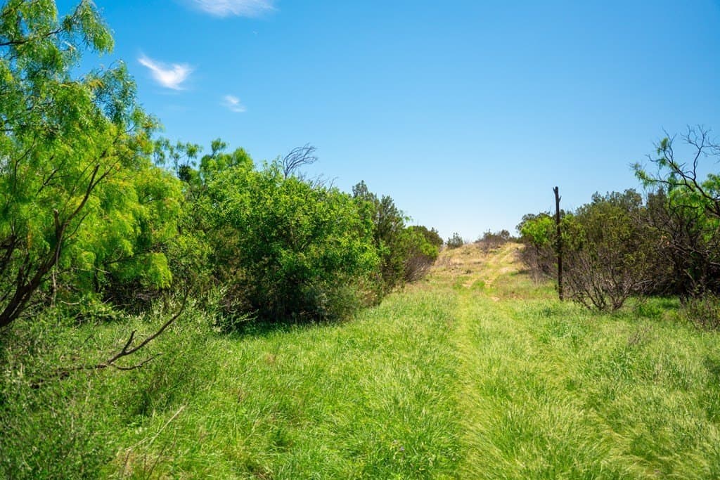 645 acres in Coke County - photo 42