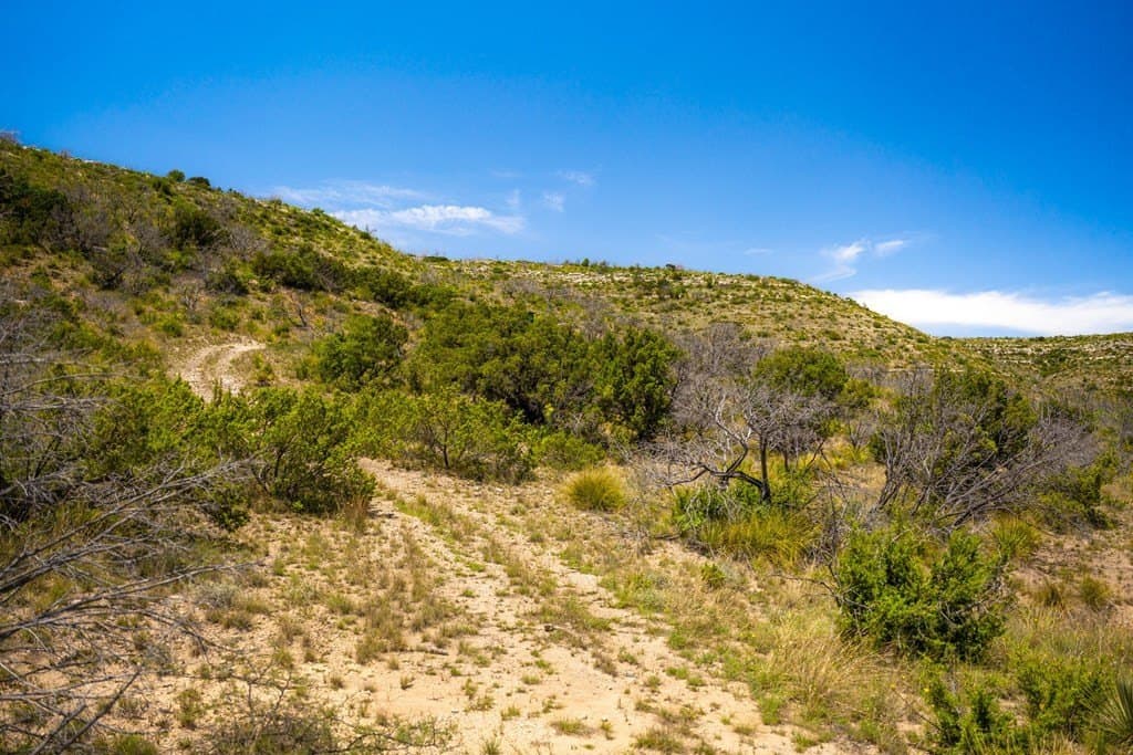 645 acres in Coke County - photo 81