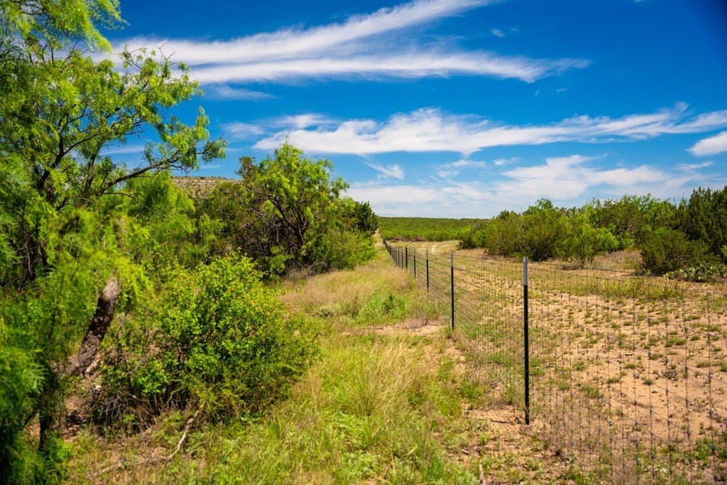 645 acres in Coke County - photo 50