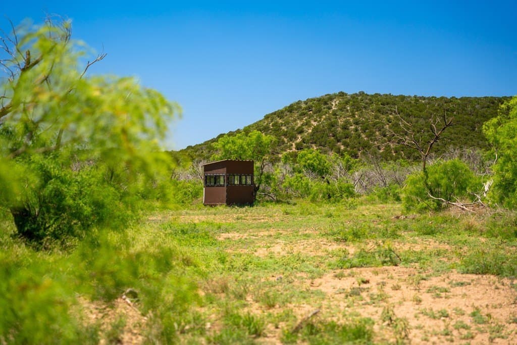 645 acres in Coke County - photo 71
