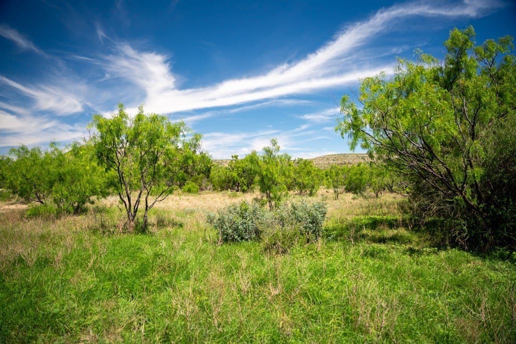 645 acres in Coke County - photo 40