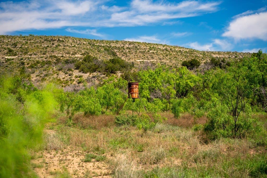 645 acres in Coke County - photo 32