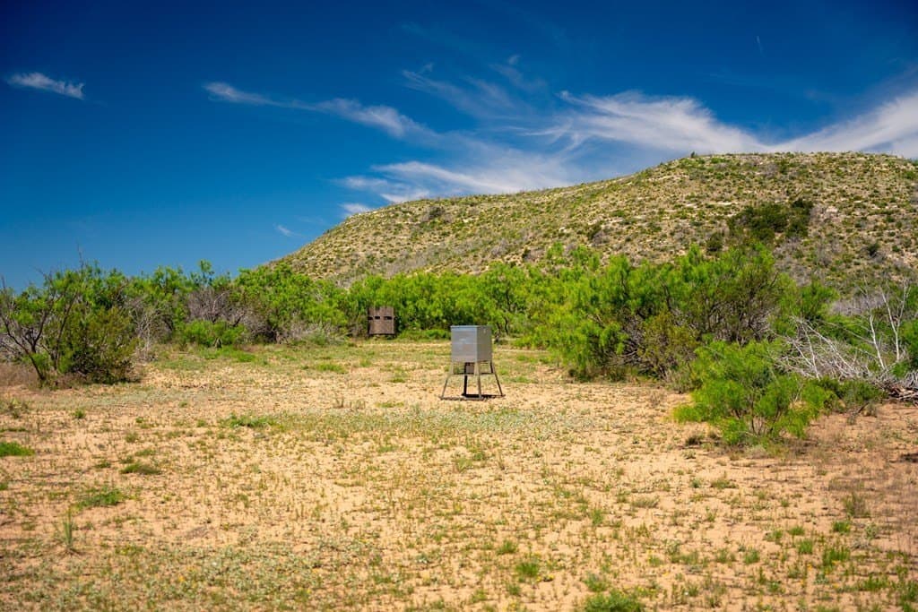 645 acres in Coke County - photo 33
