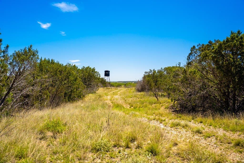 645 acres in Coke County - photo 47