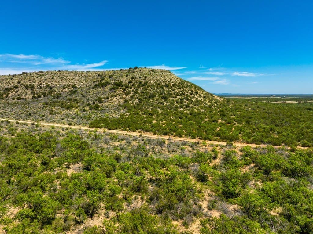 645 acres in Coke County - photo 9