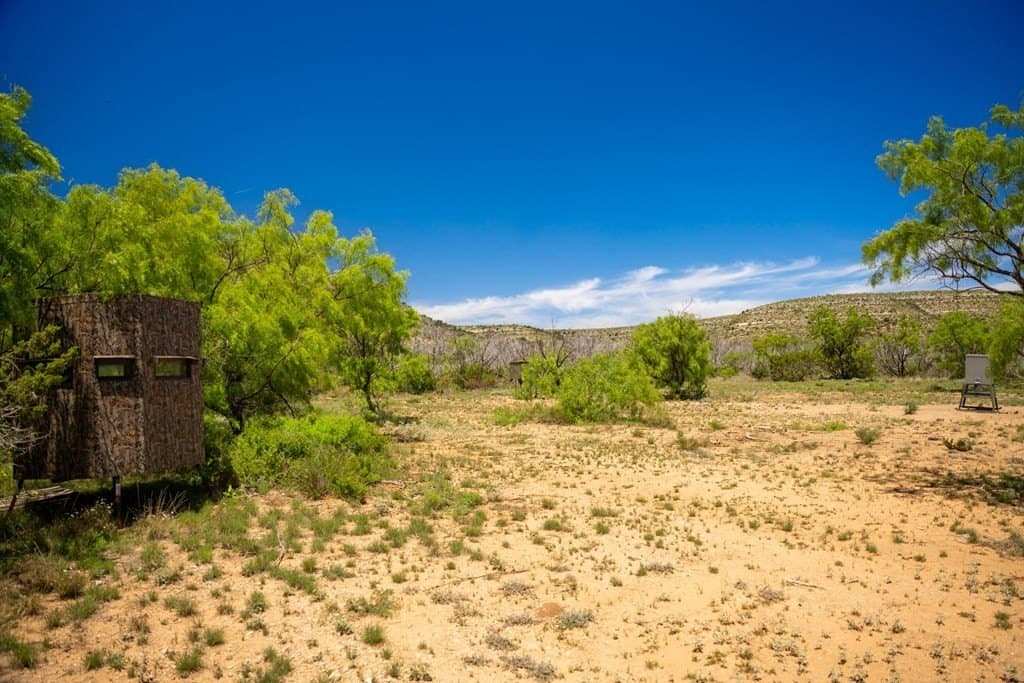 645 acres in Coke County - photo 75