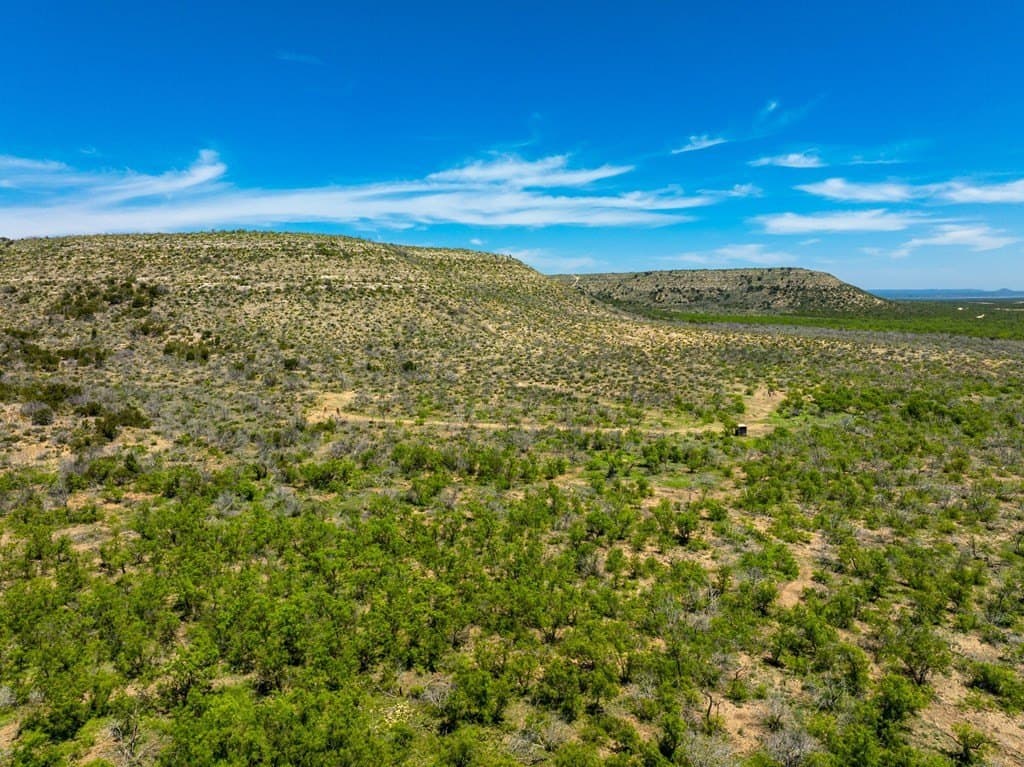 645 acres in Coke County - photo 7